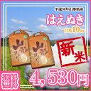 【30年産新米】【随時発送】【送料無料】山形県産はえぬき白米...