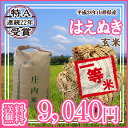【28年産】【送料無料】山形県産 はえぬき 玄米 30キロ★げんまい 30kg(三十キロ)お米(おこめ)【安全で確かなものを食卓へ】 05P03Dec16