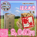 【新米】【送料無料】山形県産 はえぬき 玄米 30キロ★げんまい 30kg（三十キロ）お米（おこめ）【安全で確かなものを食卓へ】　05P01Oct16 ランキングお取り寄せ