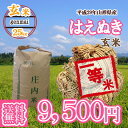【29年産米】【随時発送】【送料無料】山...