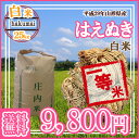 【29年産米】【随時発送】【送料無料】山形県産 はえぬき 白...