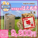 【29年産米】【随時発送】【送料無料】★...
