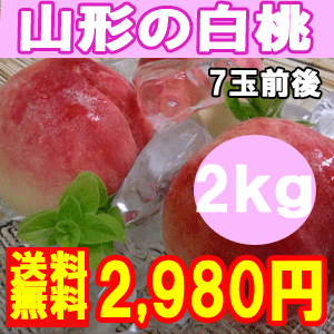 【予約】【送料無料】＼通常3300円がお買得♪／【山形県東根産 白桃2キロ化粧箱入 7玉前後】