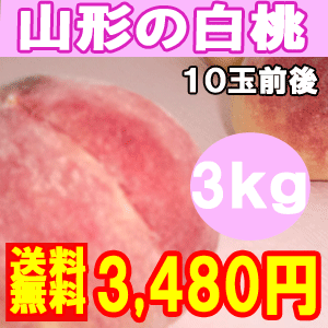 【予約】【送料無料】＼通常4200円がお買得♪／【山形県 東根産 白桃 3キロ化粧箱入 10玉前後】水蜜豊かトロリとする上品な舌ざわり。ひと口で心に浮かぶは『初恋』の味！？きめこまかいジューシー果肉8月中旬より順次発送予定