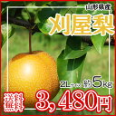 【予約】【送料無料】山形県庄内産刈屋梨2L約5kg!【2L〜4Lサイズ12玉〜16玉入り】送料無料!【溢れる果汁が魅力!】 なし/ナシ/刈屋梨/贈答