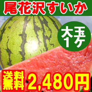 【予約】【送料無料】＼スイカで夏をのりきろう！／【山形県尾花沢産すいか7キロ以上　大玉　1玉】糖度12度以上！抜群の甘さ自慢のシャリ感冷たく冷やしてどうぞ！