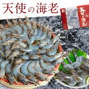 高級料亭刺身用 天使の海老【smtb-kd】20/30(約20尾〜約30尾入り)えび/エビ/海老/e