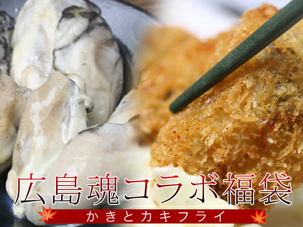 広島魂コラボ福袋【smtb-kd】【SMTB-WESTmama】【PU-WESTmama】【sale-WESTmama】 【マラソン201207_食品】【送料込】広島と言えば牡蠣