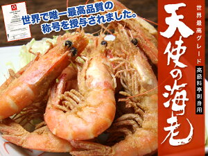 高級料亭刺身用　天使の海老【smtb-kd】20/30（約20尾〜約30尾入り）えび/エビ/海老/ebi