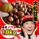 新栗予約 大粒甘栗 暴走メガ盛り1.8kg 【新栗予約】【RCP】 常温便/日・月着不可 東北+500円北海道沖縄+1000円