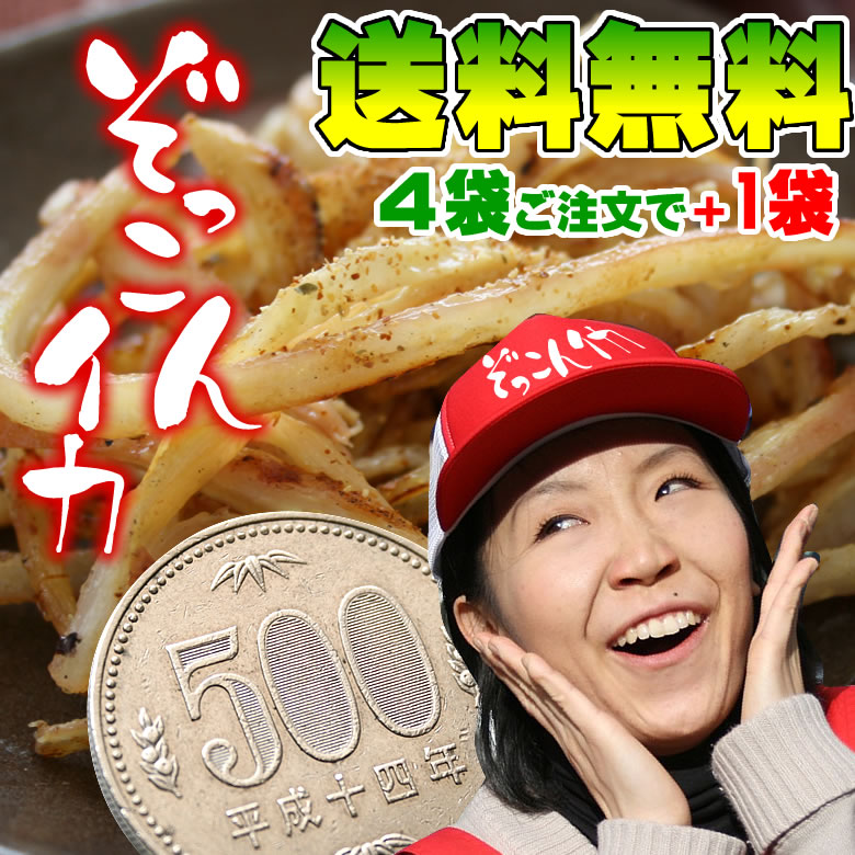 ★ぞっこんイカ50g入り★ まとめ買いがお得！ 4袋ご注文で1袋オマケ メール便【送料無料】【代引き不可】