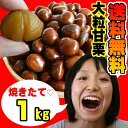 大粒甘栗1kg【送料無料】選べるオマケ付き★ご注意★プラチナ・ゴールド会員様限定のクーポンダウンロードしてご利用ください