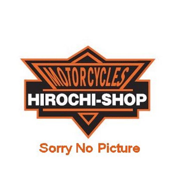 1211C01 レオビンチ KAWASAKI Compensatore per Z 400 1° e 2° serie【アメリカ取り寄せ商品】