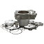 シリンダーワークス Cylinder Works Std Bore Kit Kx250F '10 422-30005K HD