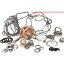 【USA在庫あり】 レンチラビット Wrench Rabbit Engine Rebuild Kit WR101137 HD