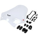 94237 デイトナ GIVI 147A+A5117A スクリーン 15年 BMW R1200R