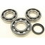 【USA在庫あり】 オールボールズ ALL BALLS RACING Crankshaft Bearing Kit 22-41085 JP