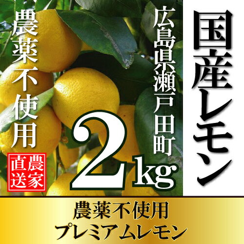 【広島レモン】☆★9月中旬出荷予定★☆【広島県尾道市瀬戸田産】太陽の恵みたっぷり濃厚レモン2kg（14〜20個入り）【農薬不使用】