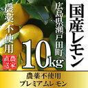 【広島レモン】☆★9月中旬出荷予定★☆【広島県尾道市瀬戸田産】太陽の恵みたっぷり濃厚レモン10kg（70〜100個入り）【農薬不使用】