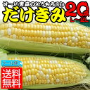 とうもろこし 嶽きみ 青森 【送料無料】とっても甘くて新鮮 ...