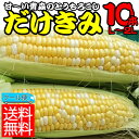 とうもろこし 嶽きみ 青森 【送料無料】とっても甘くて新鮮!...