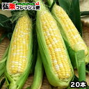 【出荷開始】嶽きみ 20本とうもろこし 嶽きみ 青森 【送料...