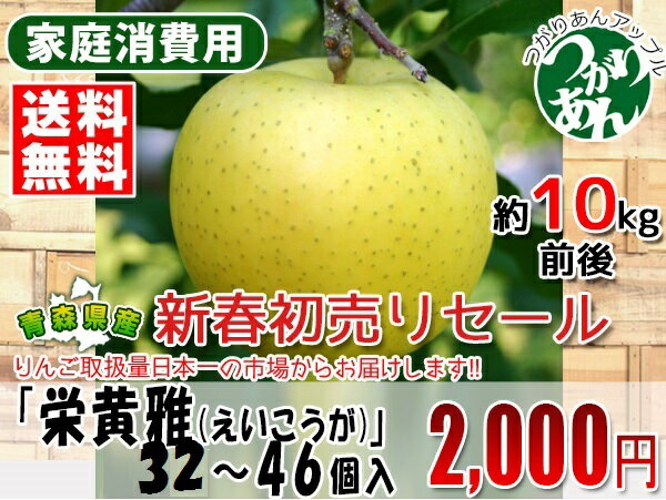 青森県産りんご珍しいりんご「栄黄雅(えいこうが)」32〜46個入(約10kg前後)りんご取扱量日本一の青果市場オリジナルのりんごです!!