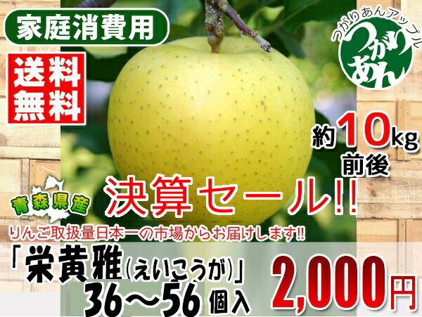 青森県産りんご珍しいりんご「栄黄雅(えいこうが)」36〜56個入(約10kg前後)りんご取扱量日本一の青果市場オリジナルのりんごです!!