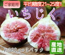 産地直送 広島県 尾道 向島産 いちじく(蓬莱柿)300g×3パック入り ご家庭用 【万汐農園】