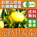 【和歌山県産】片山農園 有機 完熟 甘夏 4kg サイズ混合【産地直送】【送料無料 北海道・沖縄・離島+500円】