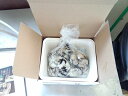 送料無料 産地直送 広島県産 生牡蠣 むき身 2kg アミスイ かき小町 かき カキ 牡蛎 かき鍋 カキフライ