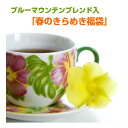 ブルーマウンテンブレンド入!ちょっと贅沢な詰め合わせ「春のき...