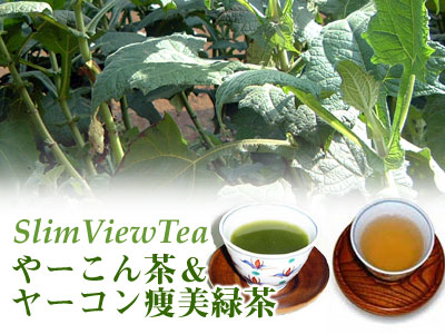 SlimViewTeaヤーコン痩美緑茶＆やーこん茶【2sp_120810_ blue】