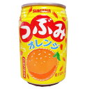 【送料無料(一部地域除く)】 サンガリア つぶみオレンジ280g缶 72本 (3ケース)他商品同梱不可