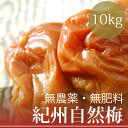 “紀州自然梅干し”10kg無農薬・無肥料・和歌山県日高郡みなべ町産天日干し・海洋深層水使用