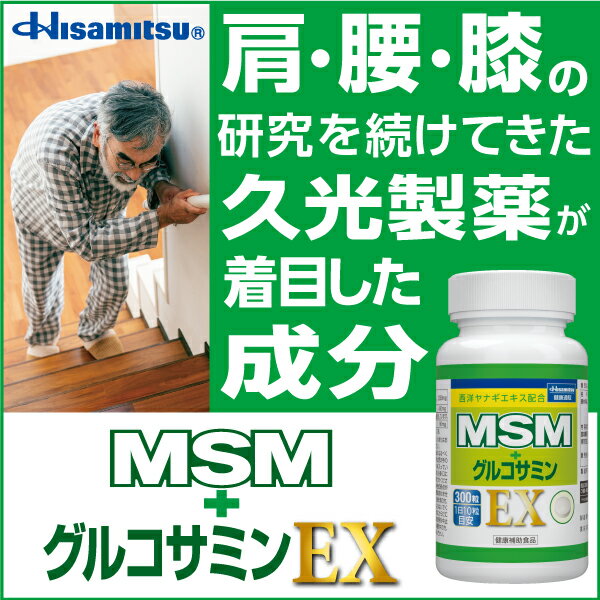    MSM+ORT~ EX@300 v 