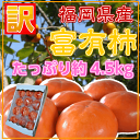 福岡県産“富有柿”【訳あり】かき/柿/カキ/富有柿/甘柿/たっぷり約4.5キロ/予約発送/...