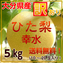 大分県産“ひた梨”【幸水】【訳あり】【送料無料】たっぷり5キ...