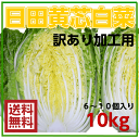 大分県産“ひた梨”【秀品】2セットで送料無料!【新高/王秋】...