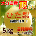 大分県産“ひた梨”【品種お任せ】【訳あり】【送料無料】たっぷ...