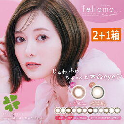 ポイント2倍 合計3箱 feliamo フェリアモ カラーコンタクト(10枚入)×2箱　1day ディファイン カラコン 白石麻衣 新商品 feliamo まいやん