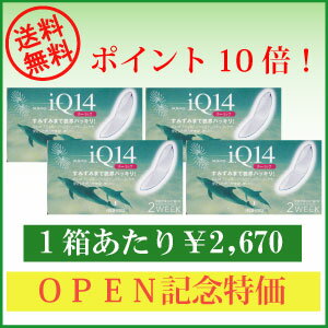 【送料無料】処方箋不要！全品ポイント10倍！IQ14トーリック【乱視用】【6枚】×4箱 【ロート】 【国際格安配送】 【東北復興_青森県】 　　　　　　　 【マラソン1207P10】 【マラソン201207_日用品】IQ14トーリック　バックトーリックでスッキリ見えやすい