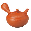 常滑焼 帯網急須 盛正 320ml【焼き物/陶器/茶器/茶道具/日本茶】