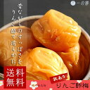 【ゆうメール便送料無料】【訳あり】化学調味料無添加 紀州南高...