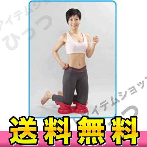 ★楽天最安挑戦!ポイント10倍★送料無料『エアロラ