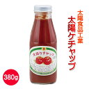 濃厚な味わいの絶賛ケチャップ【噂の地ケチャップ】楽天ランキング1位】太陽ケチャップ　380g（太陽食品工業製トマトケチャップ　調味料）【12本以上で送料無料（北海道・沖縄・離島は630円かかります）】【2sp_120810_green】