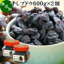 干しブドウ 600g×2個 干しぶどう 干し葡萄 ほしぶどう レーズン グレープ 種無し タネなし ドライフルーツ 砂糖不使用 製菓 製パン パン作り お菓子づくり 健康 美容 レスベラトロール アントシアニン ポリフェノール カリフォルニア産 自然健康社【コンビニ受取対象商品】