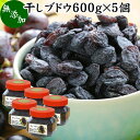 干しブドウ 600g×5個 干しぶどう 干し葡萄 ほしぶどう レーズン グレープ 種無し タネなし ドライフルーツ 砂糖不使用 製菓 製パン パン作り お菓子づくり 健康 美容 レスベラトロール アントシアニン ポリフェノール カリフォルニア産 自然健康社【コンビニ受取対象商品】