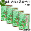連銭草茶 30パック×4個 送料無料 国産 徳島県産 無添加 レンセンソウ茶 れんせんそう カキドオシ茶 カキドウシ茶 かきどうし茶 かきどおし茶 健康茶 お茶 健康 美容 ダイエット 煮出し用 ティーバッグ 送料込み 自然健康社【コンビニ受取対象商品】