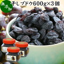 干しブドウ 600g×3個 干しぶどう 干し葡萄 ほしぶどう レーズン グレープ 種無し タネなし ドライフルーツ 砂糖不使用 製菓 製パン パン作り お菓子づくり 健康 美容 レスベラトロール アントシアニン ポリフェノール カリフォルニア産 自然健康社【コンビニ受取対象商品】